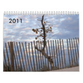 Meerblick-Kalender 2011 Kalender (Titelbild)