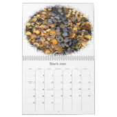 Meerblick-Kalender 2011 Kalender (Mär 2026)