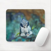 Meerblick (Lactophrys) Mousepad (Mit Mouse)