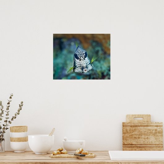 Meerblick (Lactophrys) Poster (Küche)