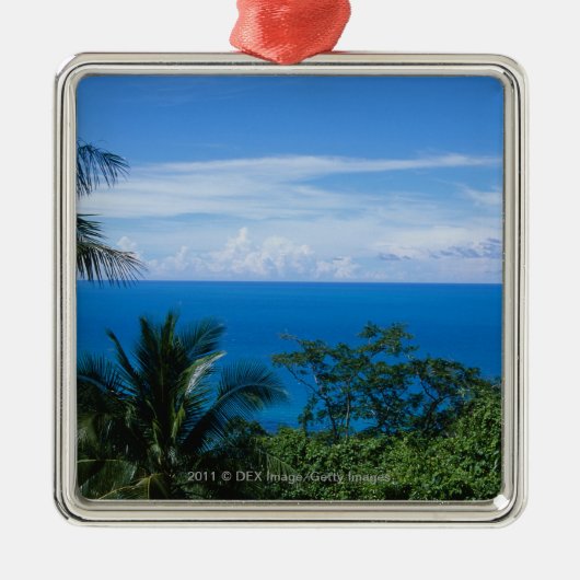 Meerblick Silbernes Ornament (Vorne)