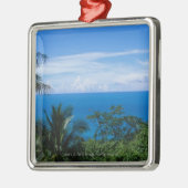 Meerblick Silbernes Ornament (Links)