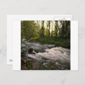 Meerbucht SD Postkarte (Vorne/Hinten)