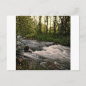 Meerbucht SD Postkarte (Vorderseite)