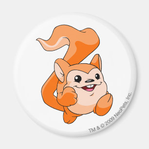 Meerca Orange Magnet