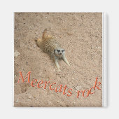 Meercas rock ! magnet (Vorne)