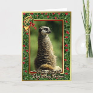Meercat African Animal Blank Christmas Card Feiertagskarte
