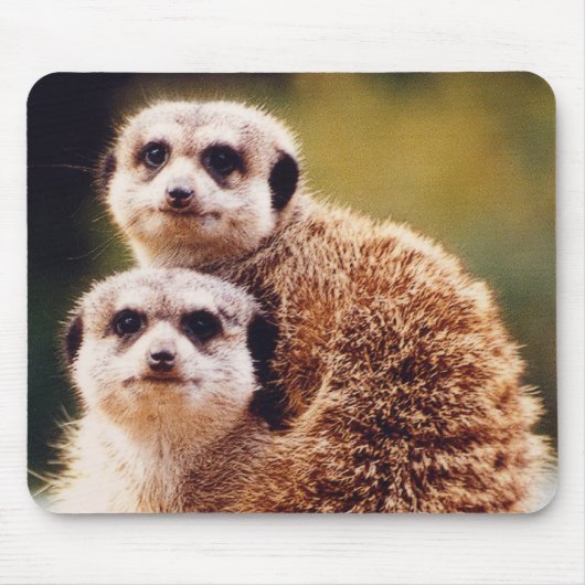 Meercat Mousepad (Vorne)