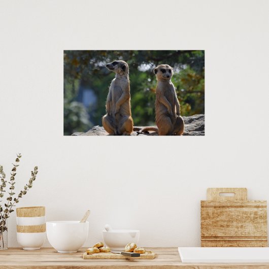 Meercat Poster (Küche)