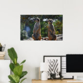 Meercat Poster (Heimbüro)