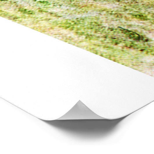 Meercheetah-Poster Poster (Ecke)