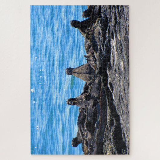 Meerechse Puzzle (Vertikal)