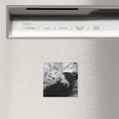 Meereis füllt den Golf von St. Lawrence Magnet (In Situ (Geschirrspüler))