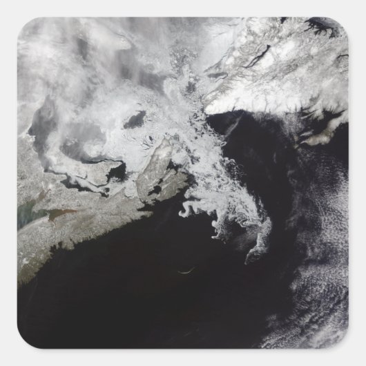 Meereis füllt den Golf von St. Lawrence Quadratischer Aufkleber (Vorderseite)