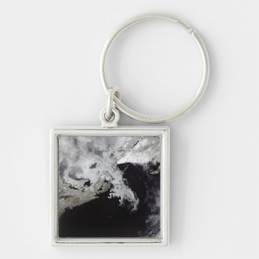 Meereis füllt den Golf von St. Lawrence Schlüsselanhänger (Vorne)