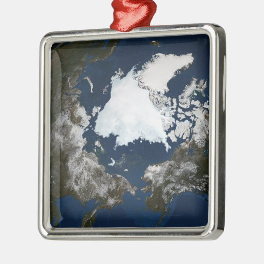 Meereis Silbernes Ornament (Links)