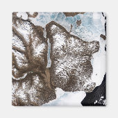 Meereislinien im Osten Grönlands Magnet (Vorne)