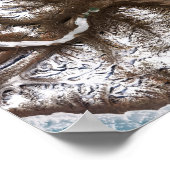 Meereislinien im Osten Grönlands Poster (Ecke)