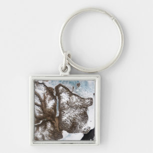 Meereislinien im Osten Grönlands Schlüsselanhänger