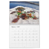 Meeres-Glas-Sammelkalender 2021 Kalender (Feb 2027)