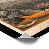 Meeresanemone Meereslebewesen Print Poster (Ecke)