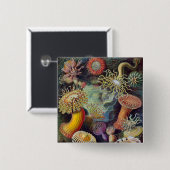 Meeresanemone Wissenschaftlicher Natur Button (Vorne & Hinten)