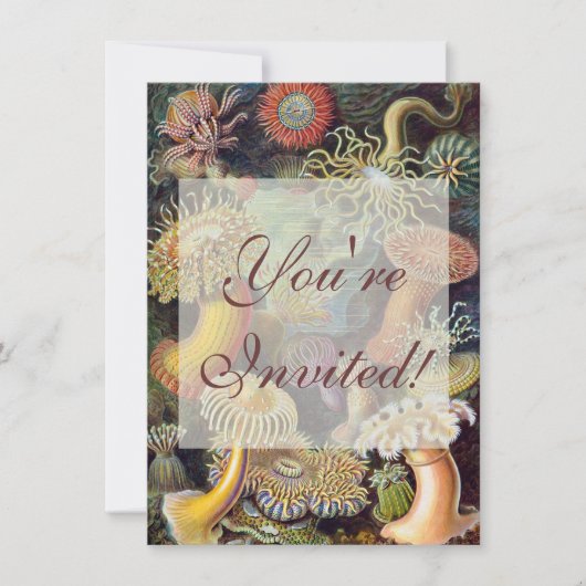 Meeresanemone Wissenschaftlicher Natur Einladung (Vorderseite)