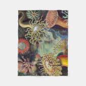 Meeresanemone Wissenschaftlicher Natur Fleecedecke (Vorderseite)