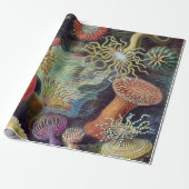 Meeresanemone Wissenschaftlicher Natur Geschenkpapier (Ungerollt)