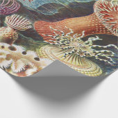 Meeresanemone Wissenschaftlicher Natur Geschenkpapier (Ecke)