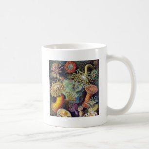 Meeresanemone Wissenschaftlicher Natur Kaffeetasse
