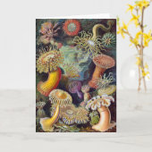 Meeresanemone Wissenschaftlicher Natur Karte (Gelbe Blume)