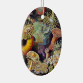 Meeresanemone Wissenschaftlicher Natur Keramikornament (Rechts)