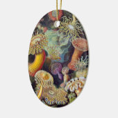 Meeresanemone Wissenschaftlicher Natur Keramikornament (Links)