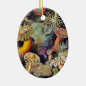 Meeresanemone Wissenschaftlicher Natur Keramikornament (Hinten)