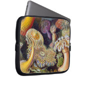 Meeresanemone Wissenschaftlicher Natur Laptopschutzhülle (Vorne Rechts)