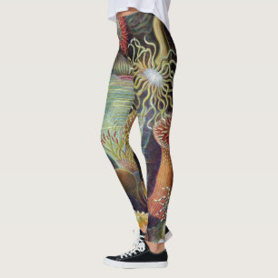 Meeresanemone Wissenschaftlicher Natur Leggings