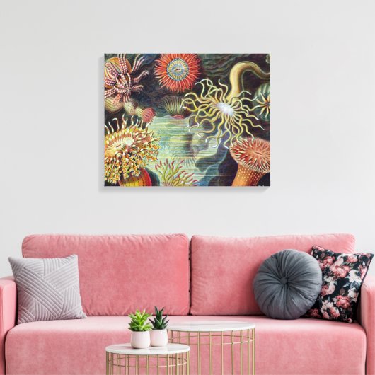 Meeresanemone Wissenschaftlicher Natur Leinwanddruck (Insitu (Wohnzimmer))