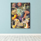 Meeresanemone Wissenschaftlicher Natur Leinwanddruck (Insitu (Holzboden))