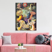 Meeresanemone Wissenschaftlicher Natur Leinwanddruck (Insitu (Wohnzimmer))