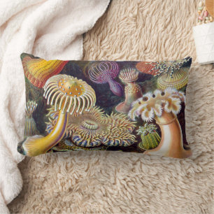 Meeresanemone Wissenschaftlicher Natur Lendenkissen