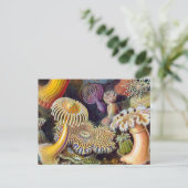 Meeresanemone Wissenschaftlicher Natur Postkarte (Stehend Vorderseite)