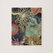Meeresanemone Wissenschaftlicher Natur Puzzle (Vertikal)