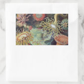 Meeresanemone Wissenschaftlicher Natur Rechteckiger Aufkleber (Tasche)