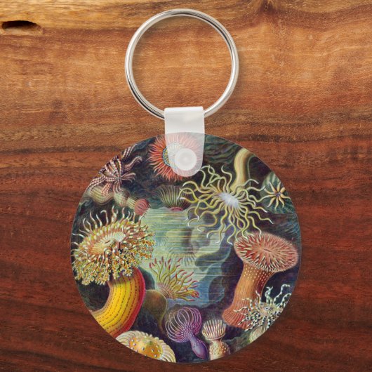 Meeresanemone Wissenschaftlicher Natur Schlüsselanhänger (Vorderseite)