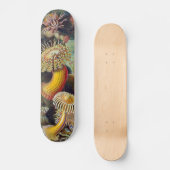 Meeresanemone Wissenschaftlicher Natur Skateboard (Vorderseite)
