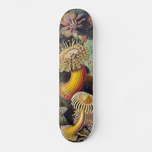 Meeresanemone Wissenschaftlicher Natur Skateboard (Vorderseite)