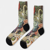 Meeresanemone Wissenschaftlicher Natur Socken (Linkes Detail)