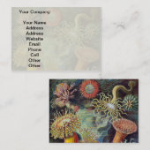 Meeresanemone Wissenschaftlicher Natur Visitenkarte (Vorne/Hinten)
