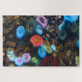 Meeresanemonen. Puzzle (Horizontal)